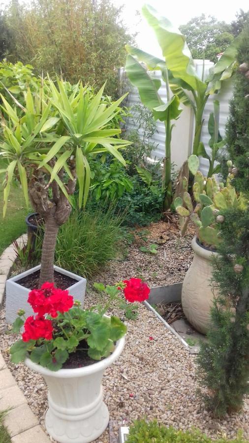 Chambres D'Hotes La Rose Des Sables Les Herbiers Kültér fotó